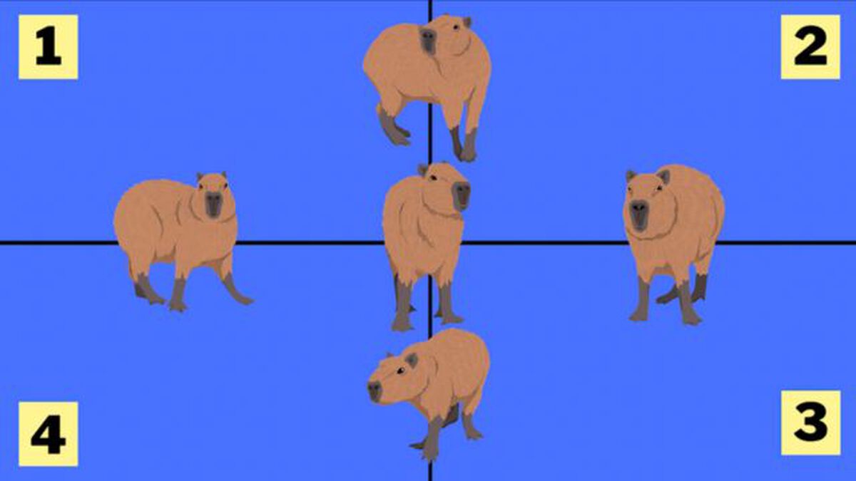Capybara Catch image number null